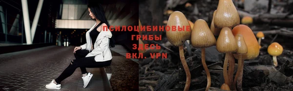 ECSTASY Алексеевка